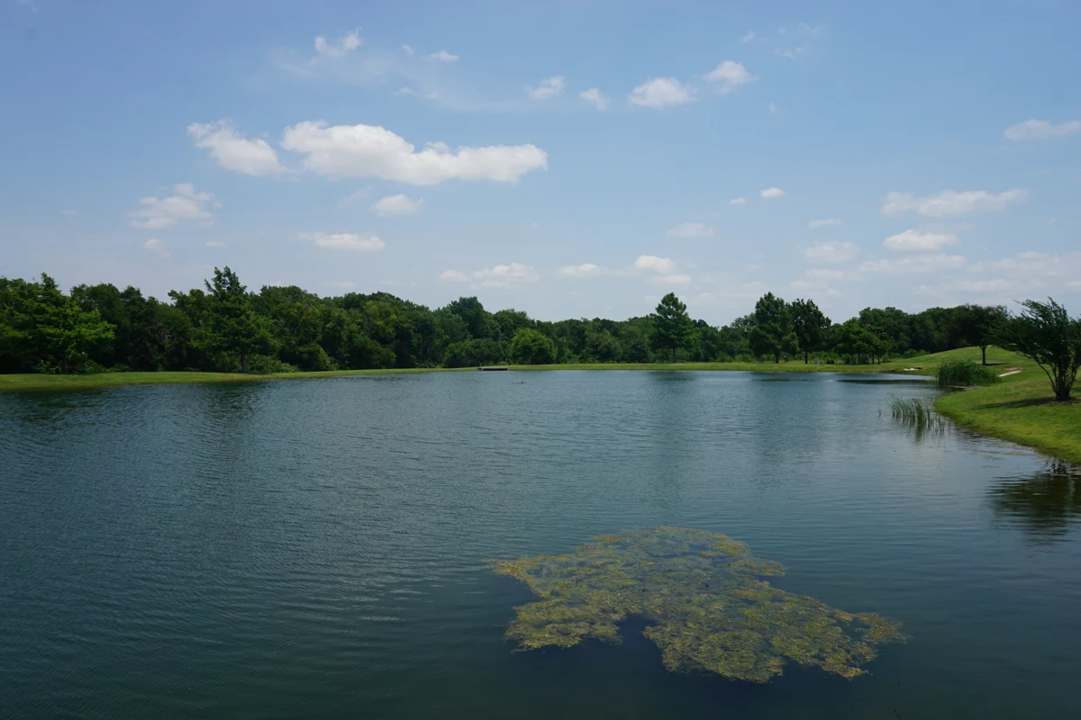 A pond surrounded by trees at Frisco Commons, photographed in 2019